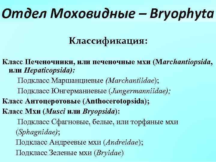 Отдел Моховидные – Bryophyta Классификация: Класс Печеночники, или печеночные мхи (Marchantiopsida, или Hepaticopsida): Подкласс