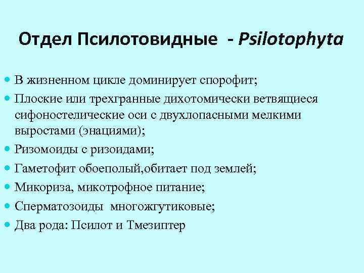  Отдел Псилотовидные - Psilotophyta В жизненном цикле доминирует спорофит; Плоские или трехгранные дихотомически