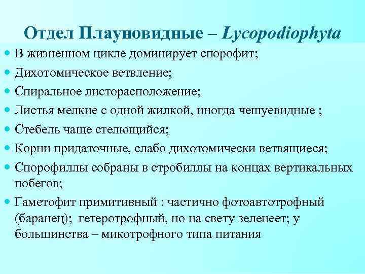 Отдел Плауновидные – Lycopodiophyta В жизненном цикле доминирует спорофит; Дихотомическое ветвление; Спиральное листорасположение; Листья