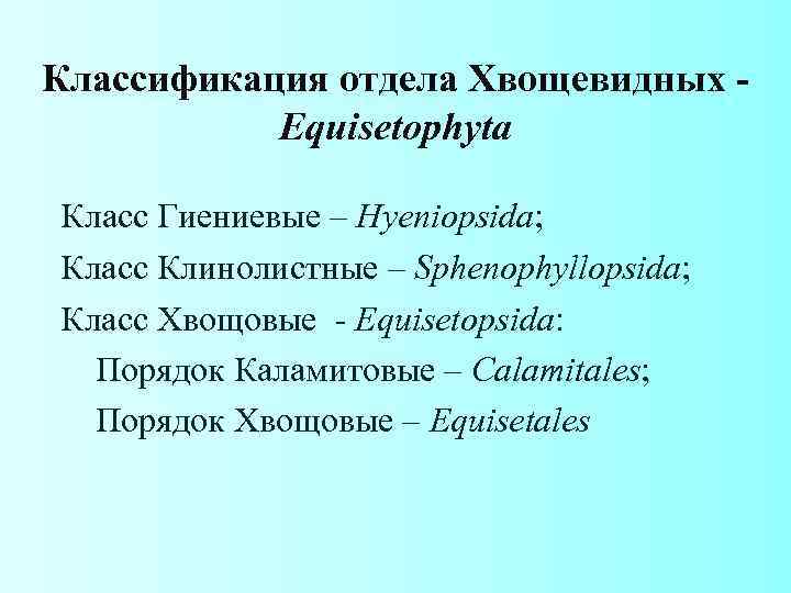 Классификация отдела Хвощевидных Equisetophyta Класс Гиениевые – Hyeniopsida; Класс Клинолистные – Sphenophyllopsida; Класс Хвощовые