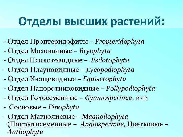 Отделы высших растений: - Отдел Проптеридофиты – Propteridophyta - Отдел Моховидные – Bryophyta -