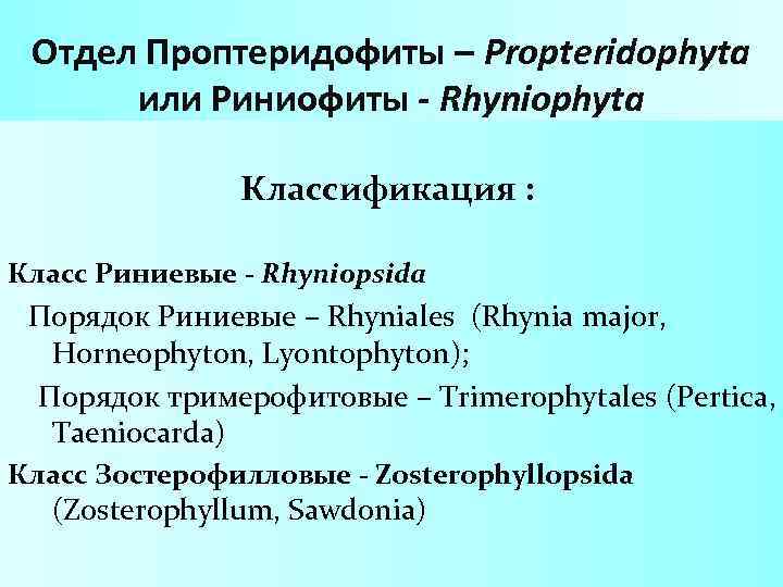 Отдел Проптеридофиты – Propteridophyta или Риниофиты - Rhyniophyta Классификация : Класс Риниевые - Rhyniopsida