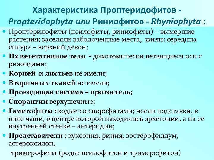 Характеристика Проптеридофитов - Propteridophyta или Риниофитов - Rhyniophyta : Проптеридофиты (псилофиты, риниофиты) – вымершие