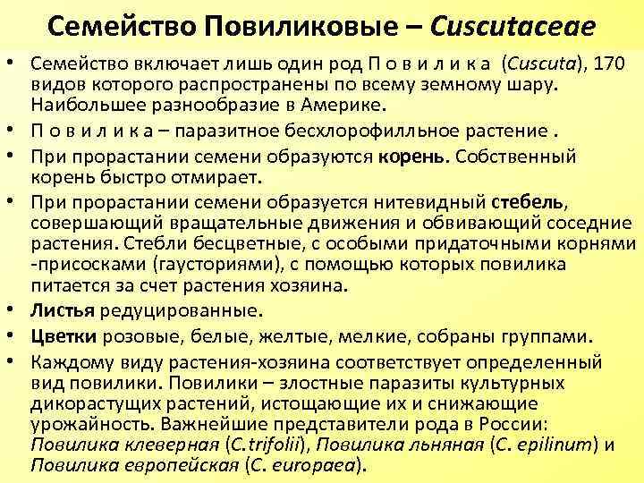 Семейство Повиликовые – Cuscutaceae • Семейство включает лишь один род П о в и