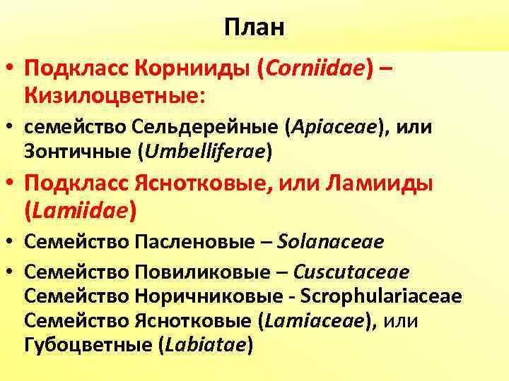 План • Подкласс Корнииды (Corniidae) – Кизилоцветные: • семейство Сельдерейные (Apiaceae), или Зонтичные (Umbelliferae)