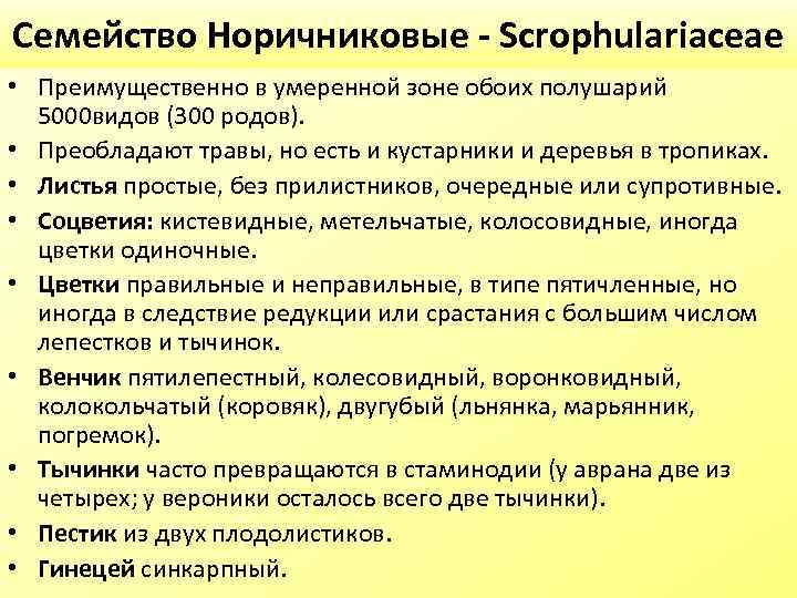 Семейство Норичниковые - Scrophulariaceae • Преимущественно в умеренной зоне обоих полушарий 5000 видов (300