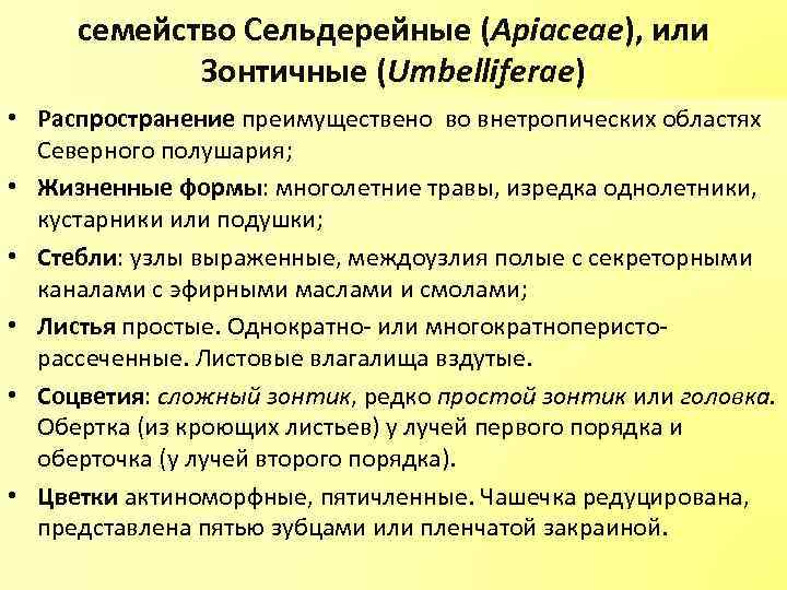 семейство Сельдерейные (Apiaceae), или Зонтичные (Umbelliferae) • Распространение преимуществено во внетропических областях Северного полушария;