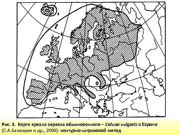 Рис. 3. Карта ареала вереска обыкновенного – Саluna vulgaris в Европе (С. А. Баландин