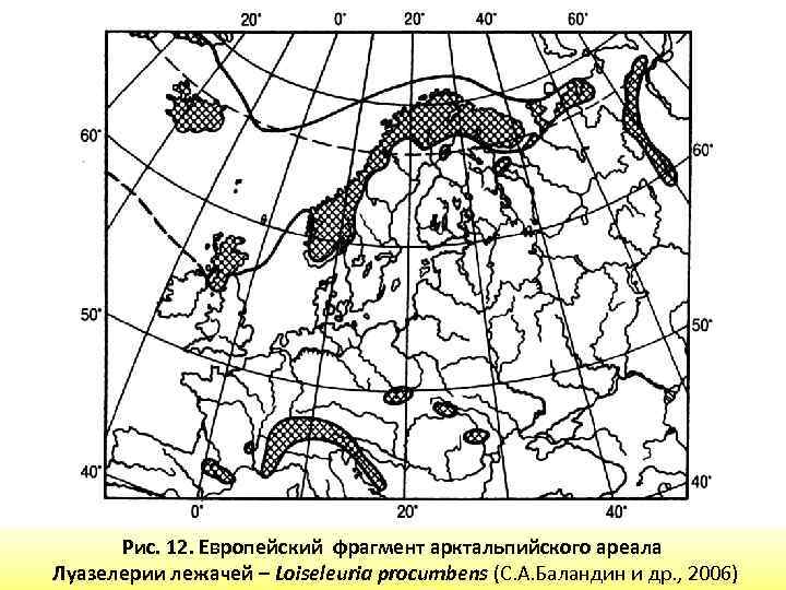 Рис. 12. Европейский фрагмент арктальпийского ареала Луазелерии лежачей – Loiseleuria procumbens (С. А. Баландин