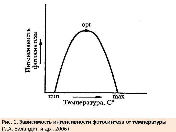 Рис. 1. Зависимость интенсивности фотосинтеза от температуры (С. А. Баландин и др. , 2006)