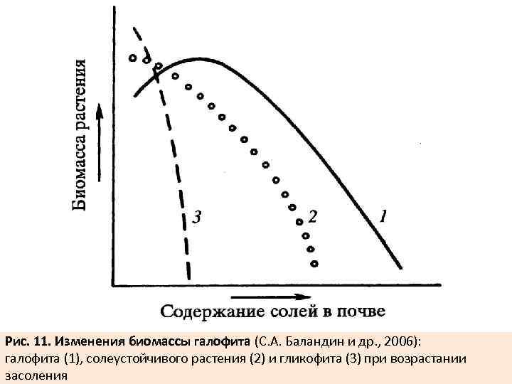 Рис. 11. Изменения биомассы галофита (С. А. Баландин и др. , 2006): галофита (1),