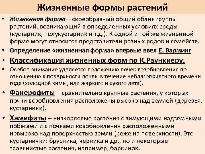 Жизненные формы растений • Жизненная форма – своеобразный общий облик группы растений, возникающий в