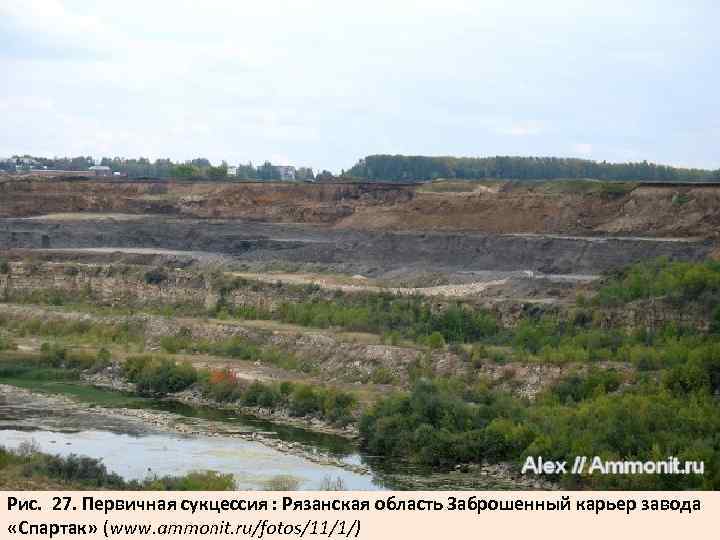 Рис. 27. Первичная сукцессия : Рязанская область Заброшенный карьер завода «Спартак» (www. ammonit. ru/fotos/11/1/)