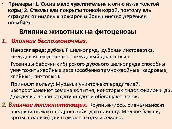  • Примеры: 1. Сосна мало чувствительна к огню из-за толстой коры; 2. Стволы