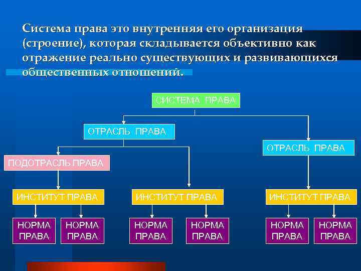 Система права это внутренняя его организация (строение), которая складывается объективно как отражение реально существующих