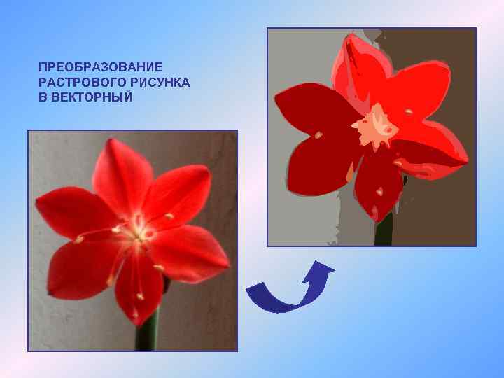 Преобразование растрового изображения в векторное. Преобразование растровых изображений.