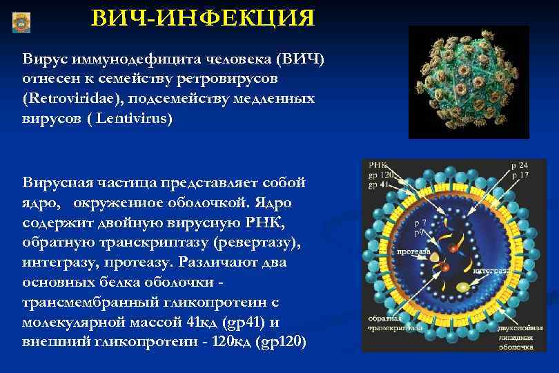 Короновирусная инфекция презентация инфекционные болезни