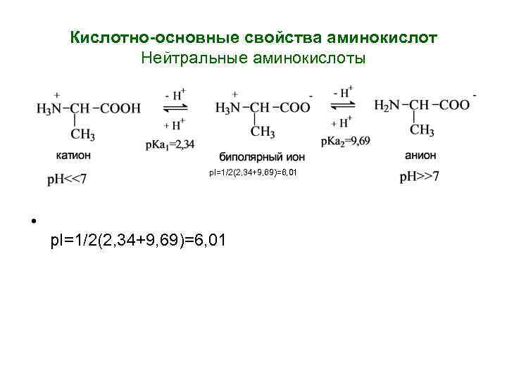 Кислотно-основные свойства аминокислот Нейтральные аминокислоты p. I=1/2(2, 34+9, 69)=6, 01 • p. I=1/2(2, 34+9,