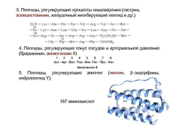 3. Пептиды, регулирующие процессы пищеварения (гастрин, холецистокинин, желудочный ингибирующий пептид и др. ) 4.