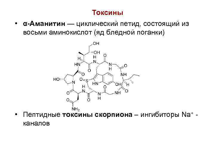 Токсины это. Α-аманитин. Аманитин формула. Механизм действия аманитина. Альфа аманитин механизм действия.