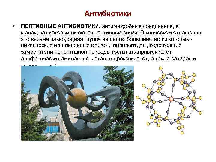 Антибиотики • ПЕПТИДНЫЕ АНТИБИОТИКИ, антимикробные соединения, в молекулах которых имеются пептидные связи. В хиическом