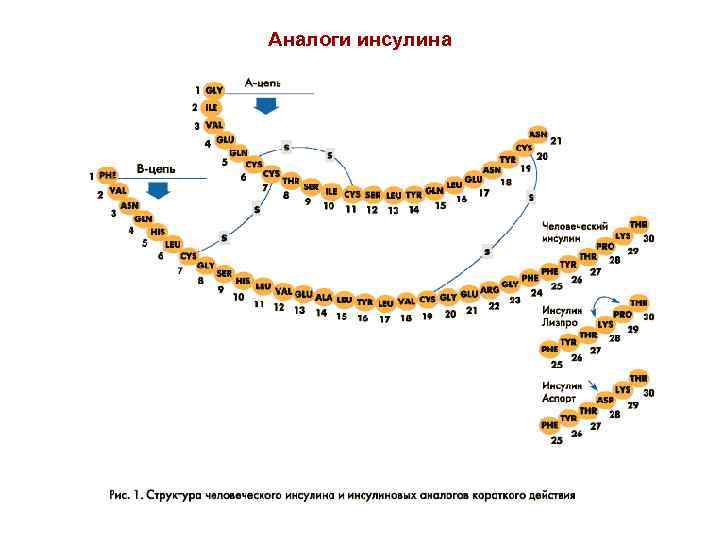 Аналоги инсулина 