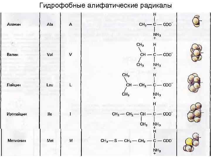 Аминокислоты поурочный план