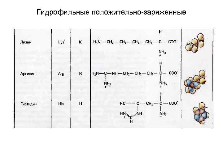 Технологическая карта аминокислоты