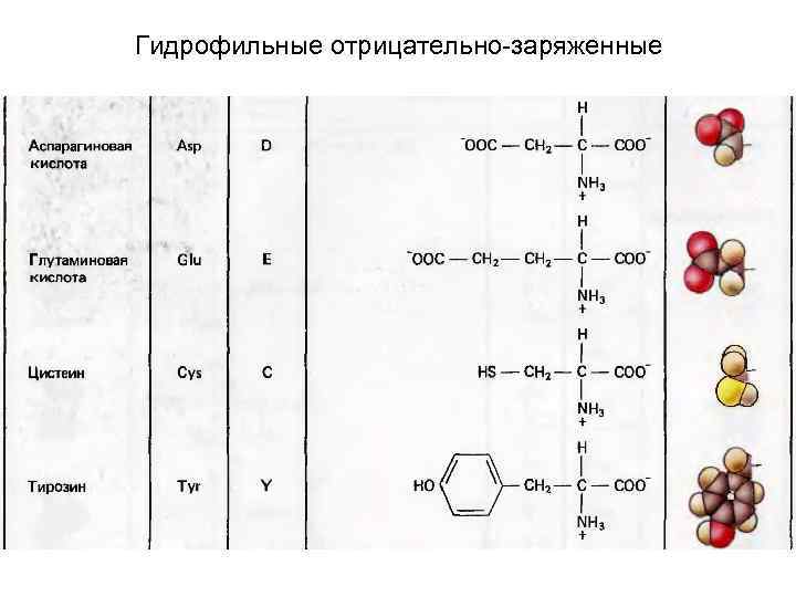 План урока по химии 10 класс аминокислоты