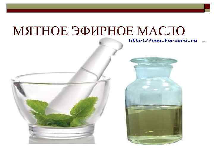 МЯТНОЕ ЭФИРНОЕ МАСЛО 