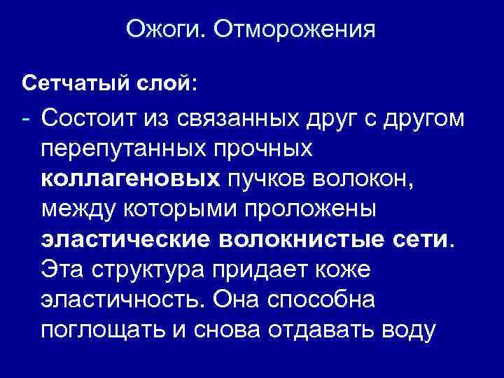 Ожоги. Отморожения Сетчатый слой: - Состоит из связанных друг с другом перепутанных прочных коллагеновых