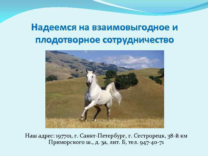 Надеемся на взаимовыгодное и плодотворное сотрудничество Наш адрес: 197701, г. Санкт-Петербург, г. Сестрорецк, 38
