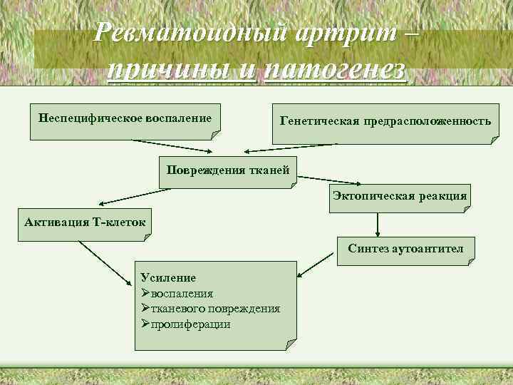 Ревматоидный артрит – причины и патогенез Неспецифическое воспаление Генетическая предрасположенность Повреждения тканей Эктопическая реакция