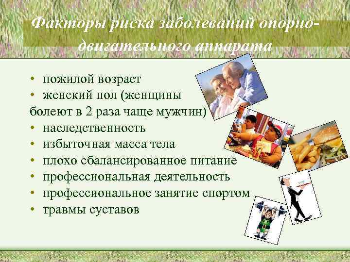 Факторы риска заболеваний опорнодвигательного аппарата • пожилой возраст • женский пол (женщины болеют в