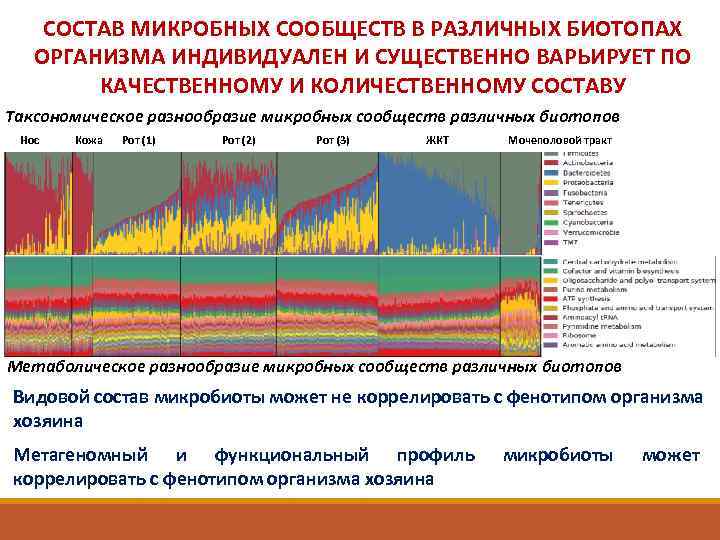 СОСТАВ МИКРОБНЫХ СООБЩЕСТВ В РАЗЛИЧНЫХ БИОТОПАХ ОРГАНИЗМА ИНДИВИДУАЛЕН И СУЩЕСТВЕННО ВАРЬИРУЕТ ПО КАЧЕСТВЕННОМУ И