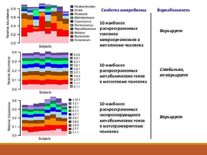 Свойства микробиома 10 наиболее распространенных таксонов микроорганизмов в метагеноме человека Вариабельность Варьирует 10 наиболее