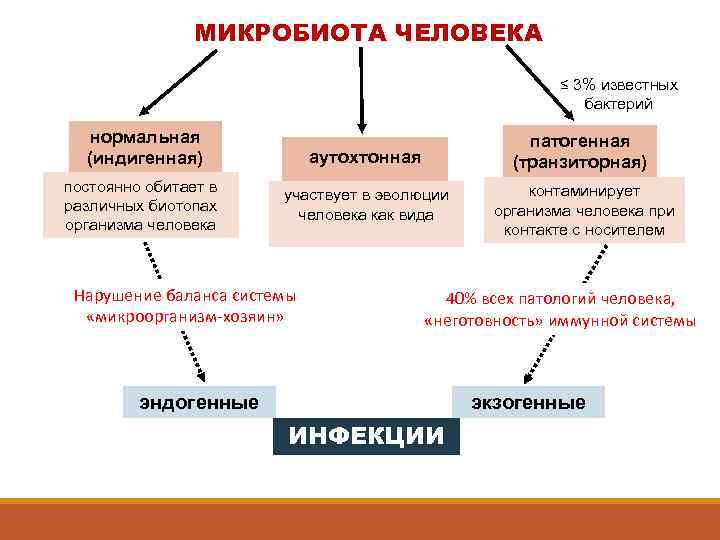 Микрофлора человека