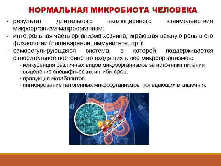 НОРМАЛЬНАЯ МИКРОБИОТА ЧЕЛОВЕКА - результат длительного эволюционного взаимодействия микроорганизм-макроорганизм; - интегральная часть организма хозяина,