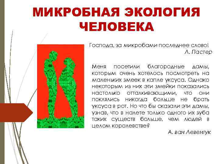 МИКРОБНАЯ ЭКОЛОГИЯ ЧЕЛОВЕКА Господа, за микробами последнее слово! Л. Пастер Меня посетили благородные дамы,