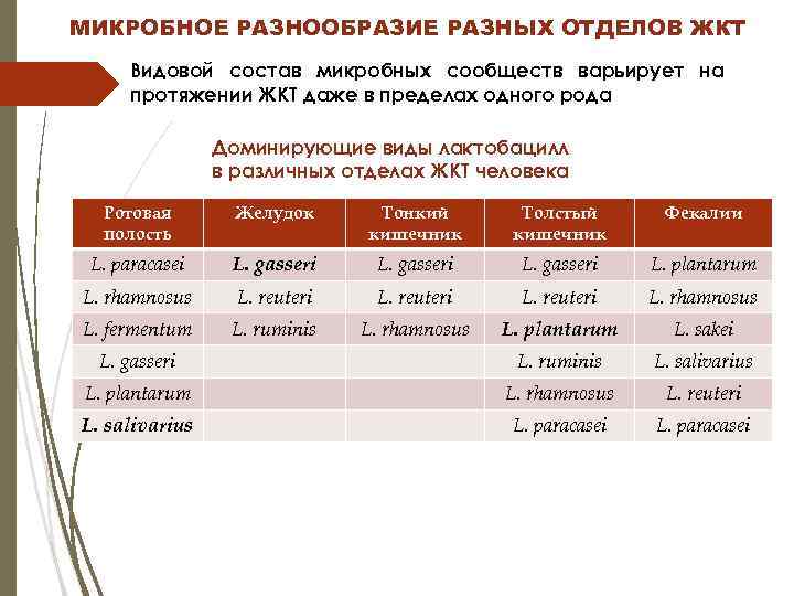 МИКРОБНОЕ РАЗНООБРАЗИЕ РАЗНЫХ ОТДЕЛОВ ЖКТ Видовой состав микробных сообществ варьирует на протяжении ЖКТ даже