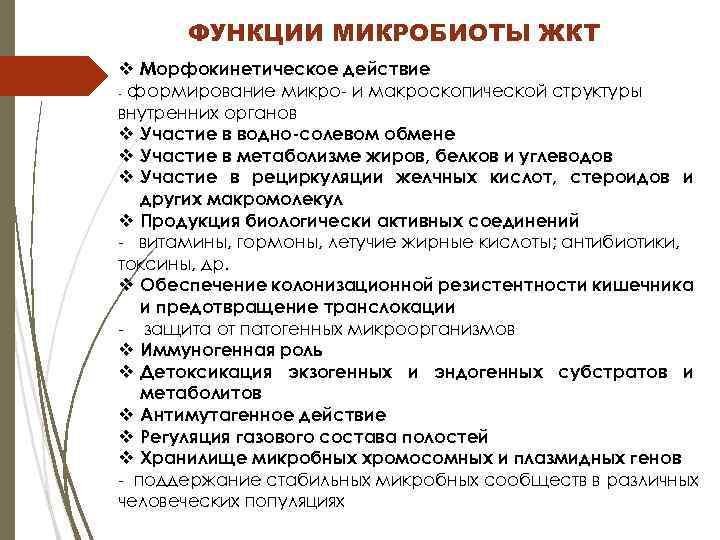 ФУНКЦИИ МИКРОБИОТЫ ЖКТ v Морфокинетическое действие - формирование микро- и макроскопической структуры внутренних органов