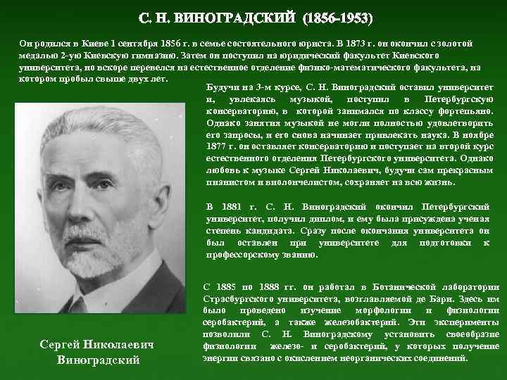 С. Н. ВИНОГРАДСКИЙ (1856 -1953) Он родился в Киеве 1 сентября 1856 г. в