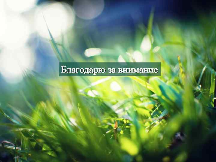 Благодарю за внимание 