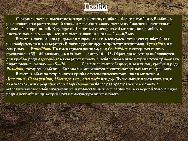 Грибы Северные почвы, имеющие кислую реакцию, наиболее богаты грибами. Вообще в разлагающейся растительной массе