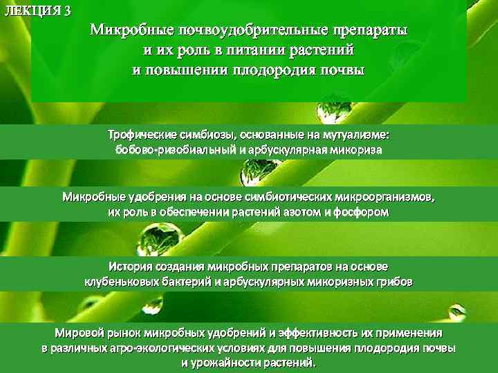 ЛЕКЦИЯ 3 Микробные почвоудобрительные препараты и их роль в питании растений и повышении плодородия