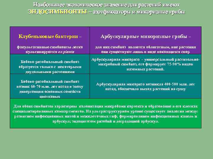 Наибольшее экологическое значение для растений имеют ЭНДОСИМБИОНТЫ – азотфиксаторы и микоризные грибы Клубеньковые бактерии