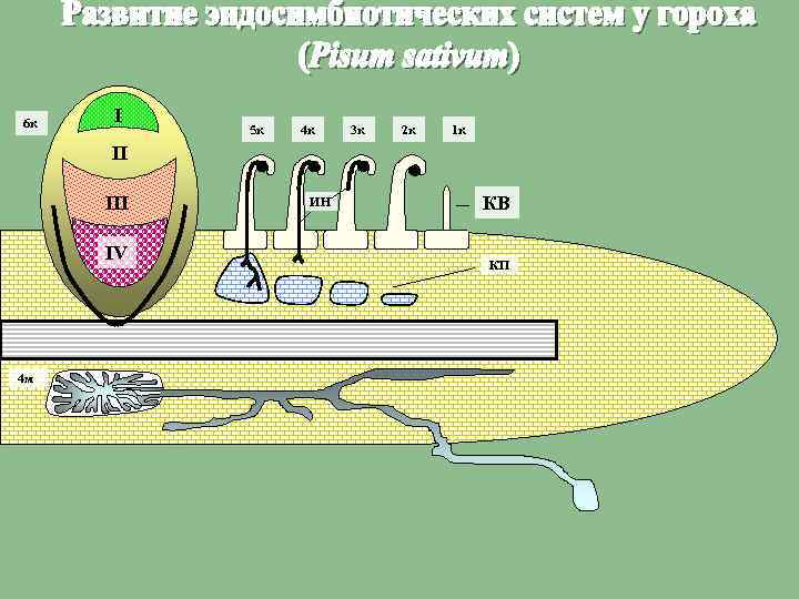 6 к I 5 к 4 к 3 к 2 к 1 к II