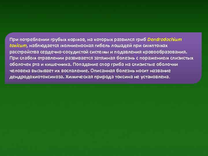 При потреблении грубых кормов, на которых развился гриб Dendrodochium toxicum, наблюдается молниеносная гибель лошадей