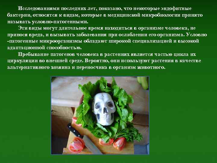 Исследованиями последних лет, показано, что некоторые эндофитные бактерии, относятся к видам, которые в медицинской