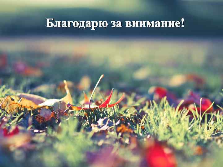 Благодарю за внимание! 